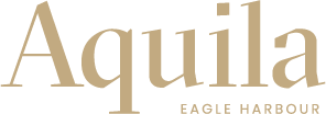 Aquila