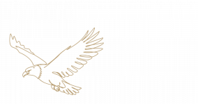 Aquila Icons V3